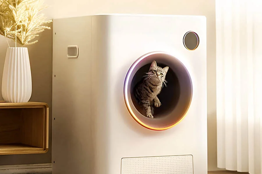 best self cleaning cat litter